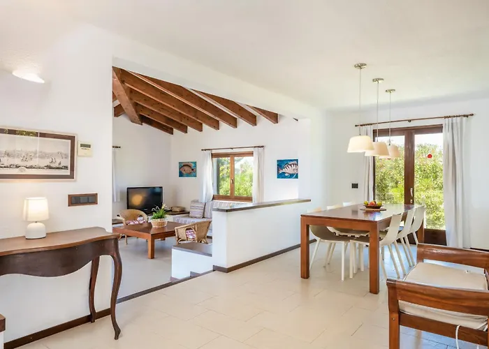 Bini Nura * ביניבקה